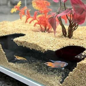 3D PRINTED FISH ACCESSORIES